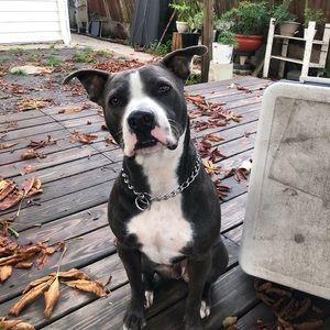 Meet your Posher, Jocelyn